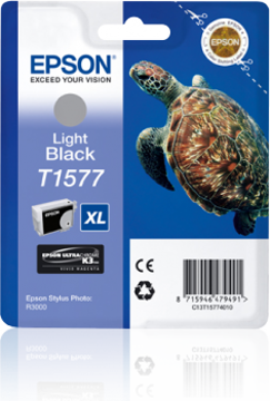 Epson Light Black Ink Cartridge for Stylus Photo R3000