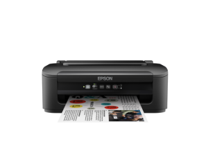 Epson WorkForce WF-2010W